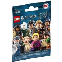 LEGO 71022 minifigurka Harry Potter - Harry Potter a neviditelný plášť (1)