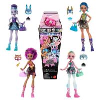 Mattel Monster High™ Tajomstvo monštier, HYV64