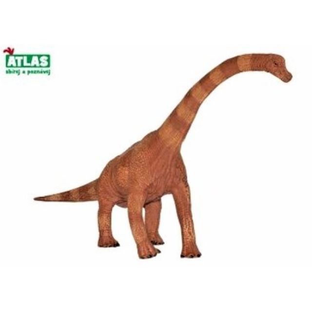 Atlas Brachiosaurus 30 cm
