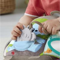 Fisher Price Hebká senzorická knižka (4)