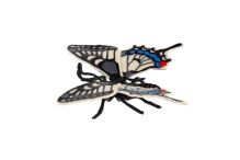 ZOOTED Motýl tropický Papilio/otakárek fenyklový (2)