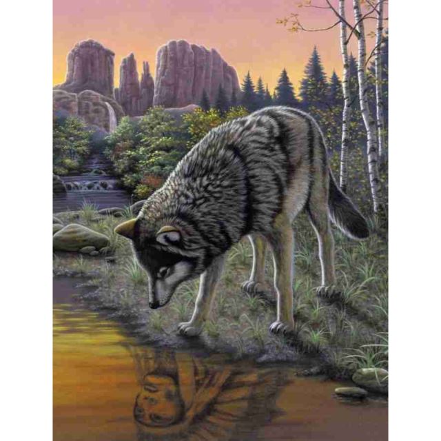 Maľovanie podľa čísel Vlk