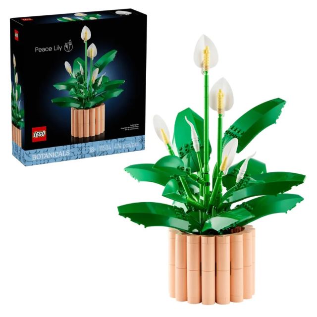 LEGO® Botanicals 11504 Lopatkovec