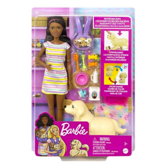 Mattel Barbie brunetka so psíkom a šteniatkami, HCK76