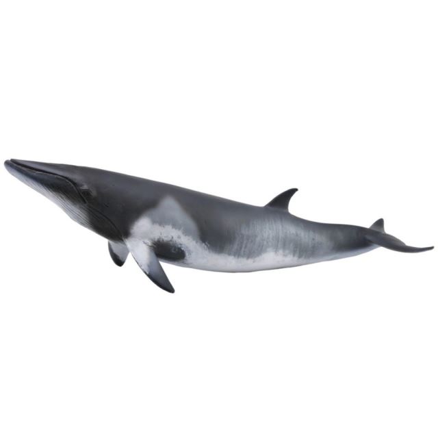 Collecta Velryba