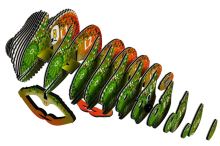 EUGY Chameleon 3D kartónová skladačka (3)