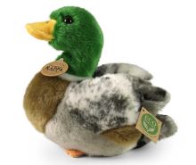 Eco-friendly plyšová kačica divá 20 cm (2)