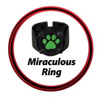 Miraculous: Lienka a Čierny kocúr - maska Čierny kocúr (4)