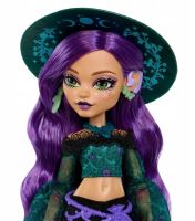 Mattel Monster High Čarodejnica Moonspell Magic Willow Thorne JMB92 (1)