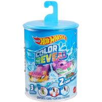 Hot Wheels Color Reveal™ 2 Pack