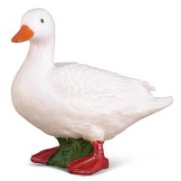 Collecta Kachna