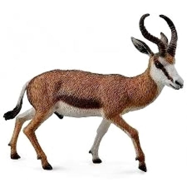 Collecta Antilopa skákavá