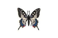 ZOOTED Motýl tropický Papilio/otakárek fenyklový (1)