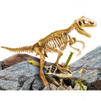 Dino vykopávka model T-Rex (1)