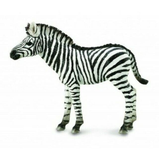 Collecta Zebra mláďa