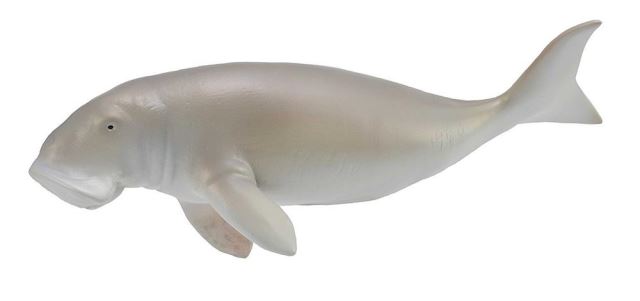 Collecta Dugong indický