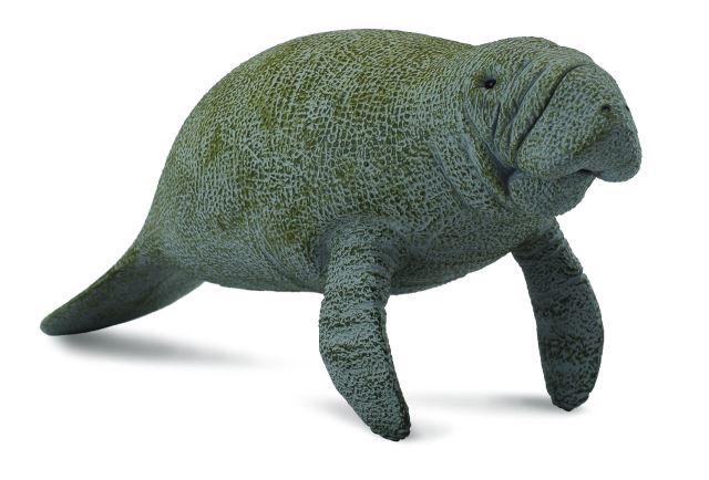 Collecta Kapustňák