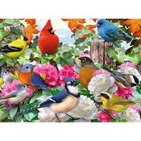Ravensburger 14223 Puzzle Vtáky na záhrade 500 dielikov (1)