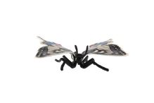 ZOOTED Motýl tropický Papilio/otakárek fenyklový (3)