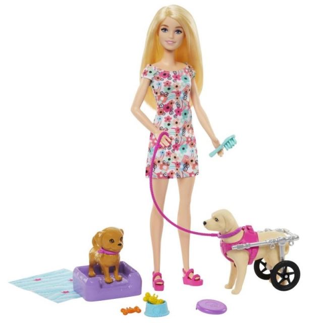 Barbie® Panenka Barbie a pejsek s invalidním vozíčkem, Mattel HTK37