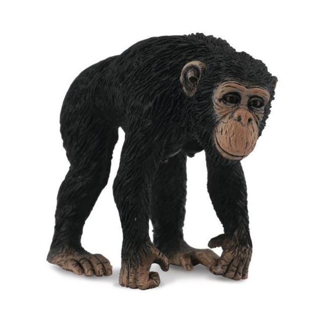 Collecta Šimpanz samice