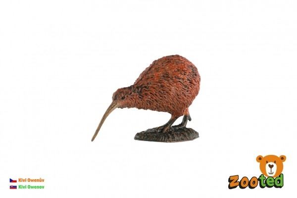 ZOOTED Kivi Owenov