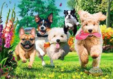 Puzzle Premium Plus: Tea Time - Problémy na obzore 1000 dielikov, Trefl (1)