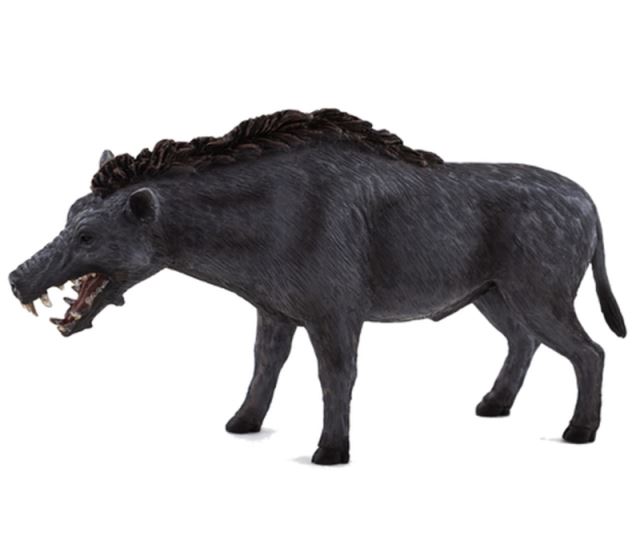Mojo 387156 Entelodont Daeodon - Prehistorické prase