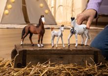 Schleich 14896 Hříbě Marwari (2)