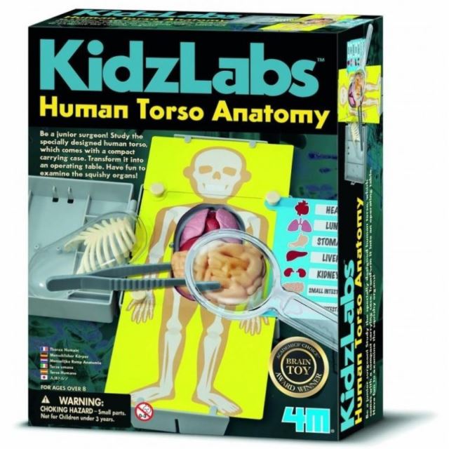 KidzLabs Anatomie