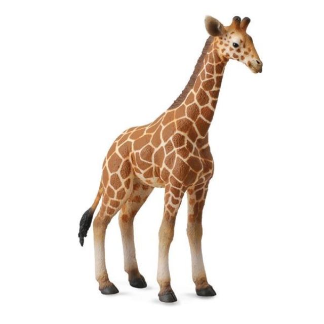 Collecta Žirafa mládě