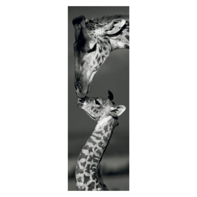 Puzzle Žirafy panoramatické 1000d. Dino