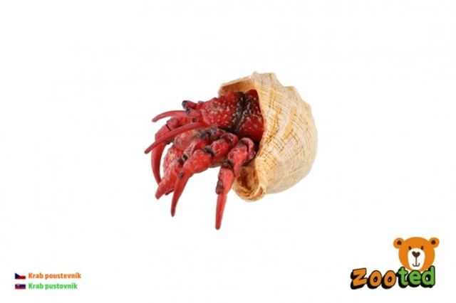 ZOOTED Krab pustovník