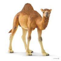 Schleich 14832 Velbloud Dromedár (1)