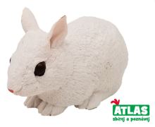 Atlas Králik biely 10 cm