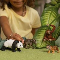 Schleich 42736 Wild Life ÁziaŠtartovací set (5)