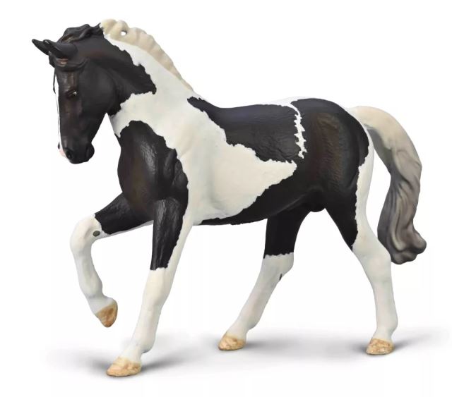 Collecta Teplokrvný žrebec čierny tobiano