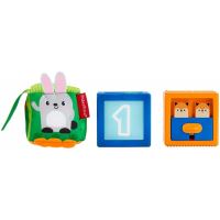 Fisher Price Kostky pro rozvoj smyslů, Mattel GJW13 (1)