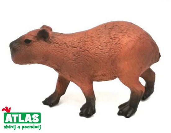 Atlas kapybara 8 cm