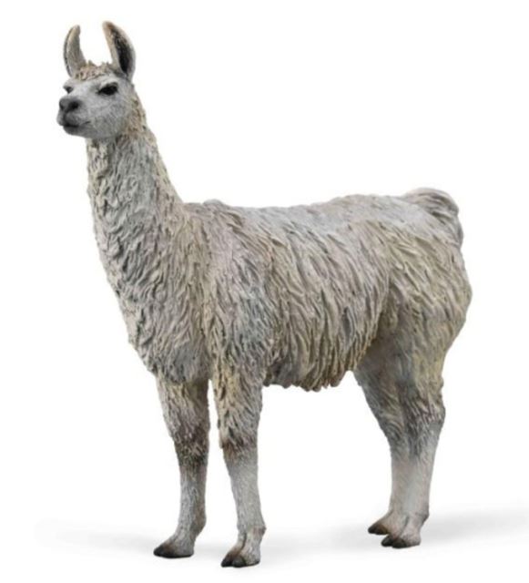 Collecta Lama