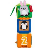 Fisher Price Kostky pro rozvoj smyslů, Mattel GJW13 (2)
