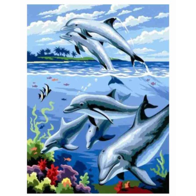 Maľovanie podľa čísel Delfíny