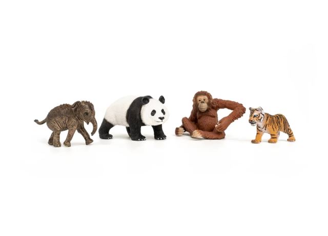 Schleich 42736 Wild Life Asie Startovací set