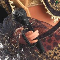 Mattel Barbie® GLORIA ESTEFAN, HCB85 (4)