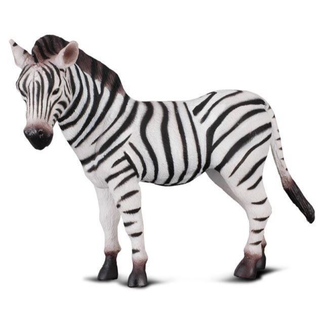 Collecta Zebra mládě