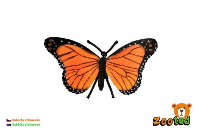 ZOOTED Motýl Monarcha stěhovavý (babočka)
