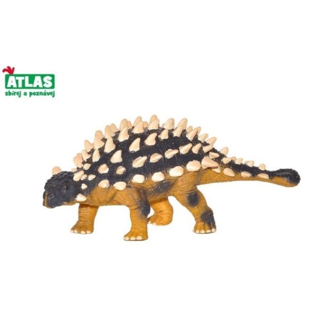 Atlas Saichania 15 cm