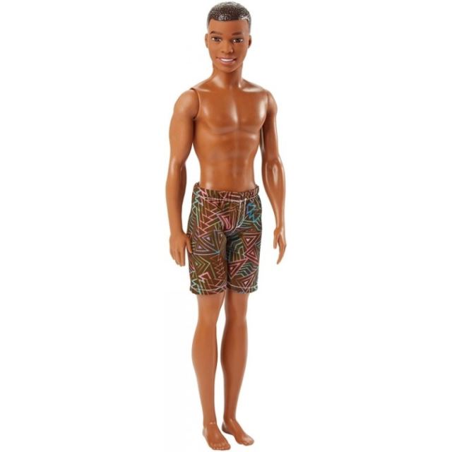 Barbie Ken ve vzorovaných plavkách černoch, Mattel DWK07