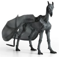 Schleich Harry Potter™ 13996 Testrál (2)