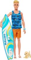 Mattel Barbie® Ken Surfer s doplnkami, HPT50